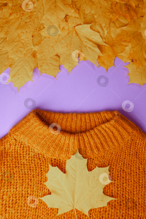 Скачать Осенний концепт, однотонный вязаный свитер коричневого цвета и желтые осенние кленовые листья фотосток Ozero