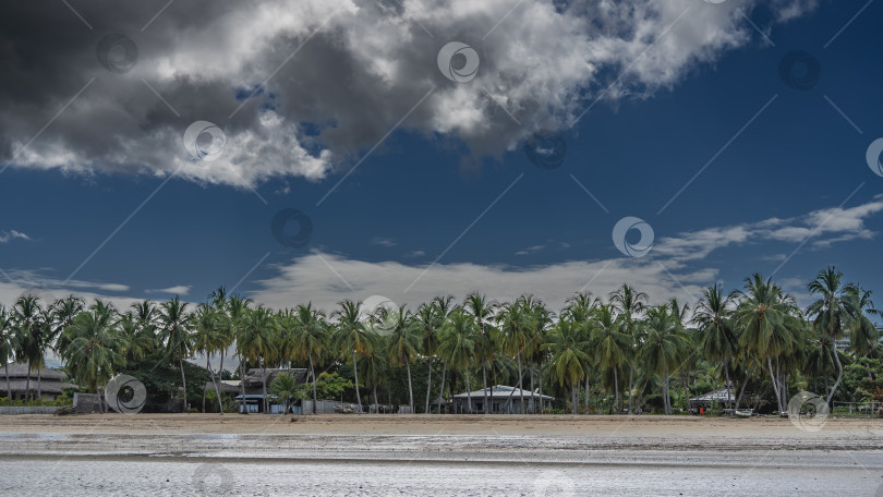 Скачать Коттеджи видны на берегу океана, среди зарослей пальм. фотосток Ozero
