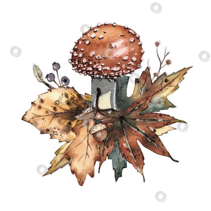 Скачать Композиция с грибной акварелью осенняя композиция с грибной акварелью осень фотосток Ozero