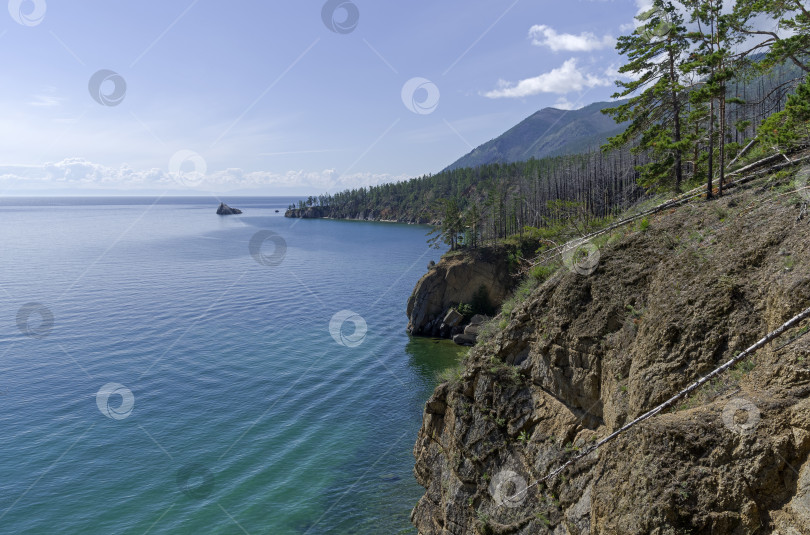 Скачать Высокий скалистый берег, покрытый хвойным лесом. Озеро Байкал. фотосток Ozero