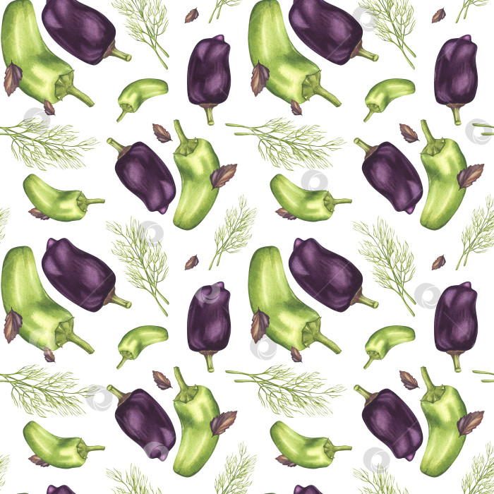 Скачать Зеленый и фиолетовый перцы с укропом и базиликом. Бесшовный фон из овощей. Акварельная иллюстрация на тему садоводства и выращивания сельскохозяйственных культур. Для фонового дизайна, упаковки, текстиля фотосток Ozero