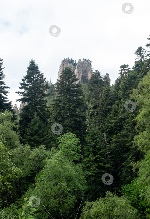 Скачать Горный пейзаж фотосток Ozero