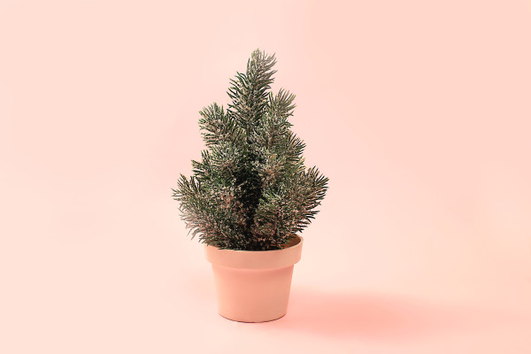 [object Object] undefined