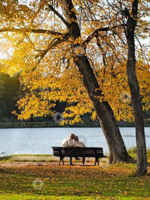 Скачать Пара Эдерли вместе сидит на скамейке спиной друг к другу под золотистым деревом в солнечном осеннем парке. Вертикальный вид. фотосток Ozero