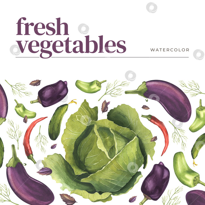 Скачать Свежие овощи. Акварельная иллюстрация продуктов питания и ароматических трав. Дизайн баннера на тему здорового питания, сбора урожая, вегетарианских покупок фотосток Ozero