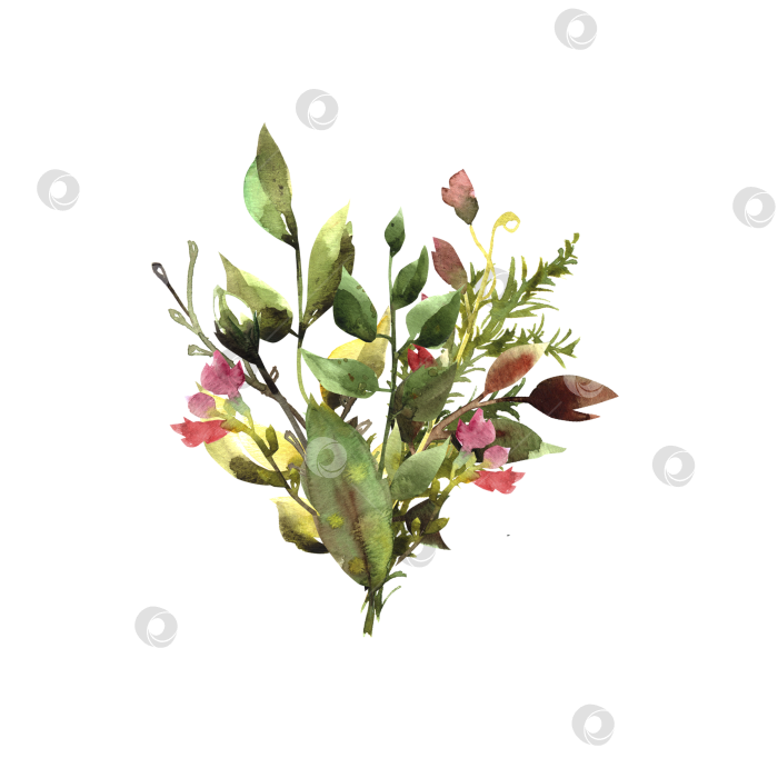 Скачать Композиция цветущая ветка лист летняя акварель Комбинацияцветущая ветка лист летняяакварель фотосток Ozero