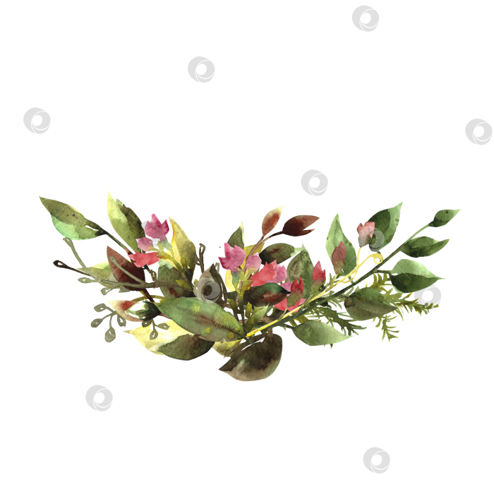 Скачать Композиция летняя акварель Комбинацияцветущая ветка лист летняяакварель фотосток Ozero