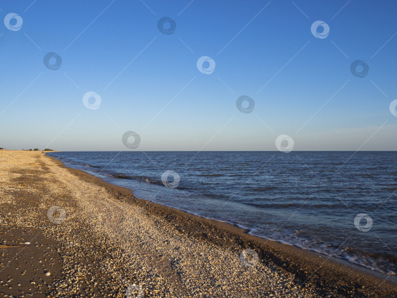 Скачать Песчаный пляж с ракушками рядом с ласковым морем и голубым небом. фотосток Ozero