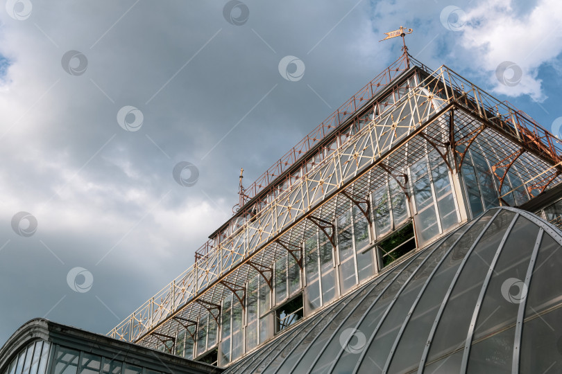 Скачать вид на стеклянный купол большой винтажной пальмовой теплицы фотосток Ozero
