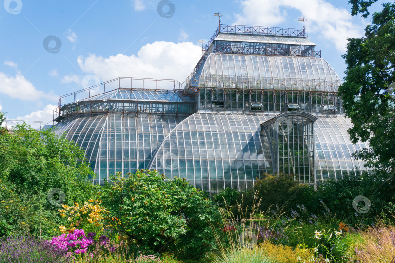 Скачать вид на Ботанический сад Санкт-Петербурга с цветочными клумбами и древней пальмовой оранжереей на заднем плане фотосток Ozero