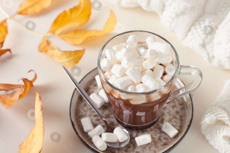 Скачать Теплое какао с зефиром в чашке и осенними листьями на столе фотосток Ozero