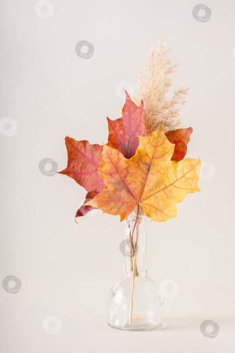 Скачать Красивые кленовые листья и шип в стеклянной бутылке на бежевом фоне вертикальный вид фотосток Ozero
