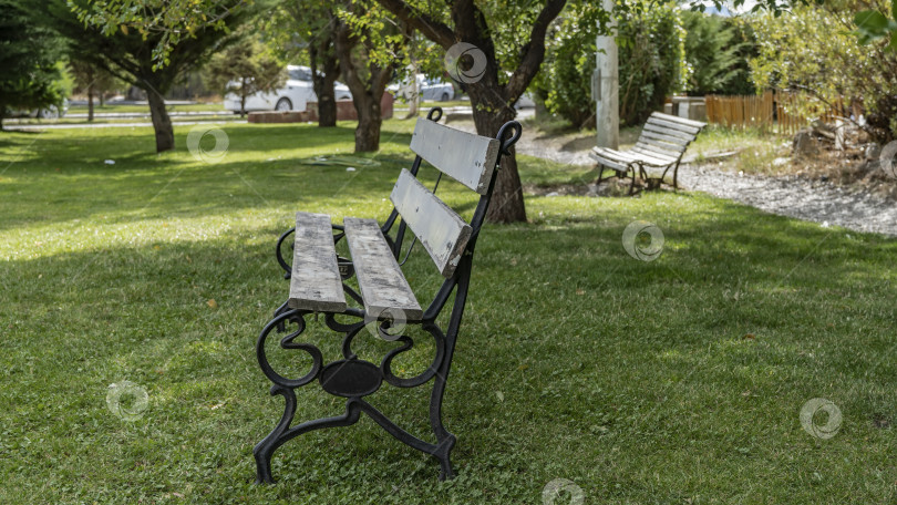 Скачать На лужайке в парке стоят деревянные скамейки с изогнутыми металлическими ножками. фотосток Ozero