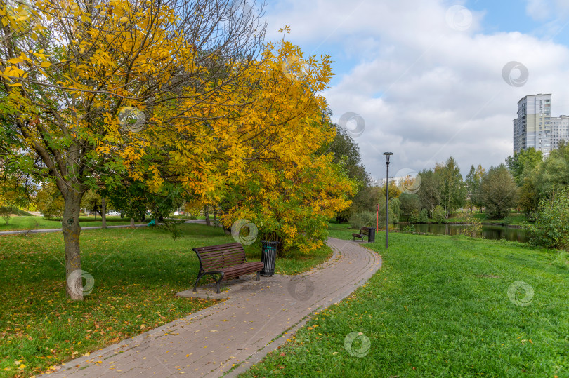 Скачать Осенние дорожки городского парка фотосток Ozero