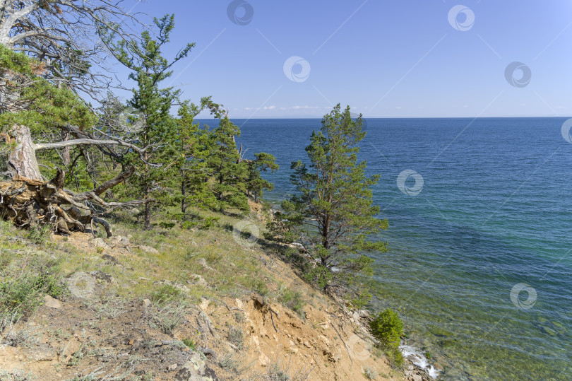 Скачать Гористое побережье, поросшее соснами. Озеро Байкал. фотосток Ozero