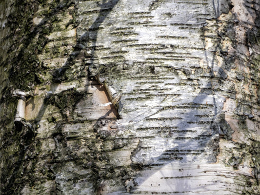 [object Object] undefined