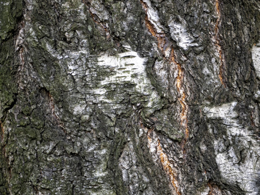 [object Object] undefined