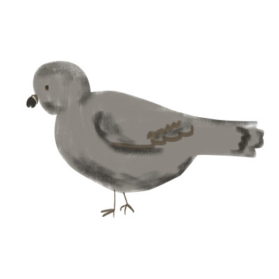[object Object] undefined