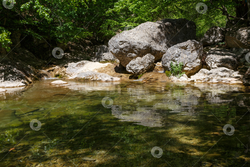 Скачать Небольшая горная речка протекающая через лес фотосток Ozero