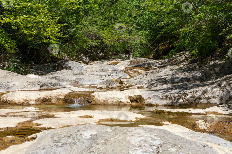 Скачать Небольшая горная речка протекающая через лес фотосток Ozero