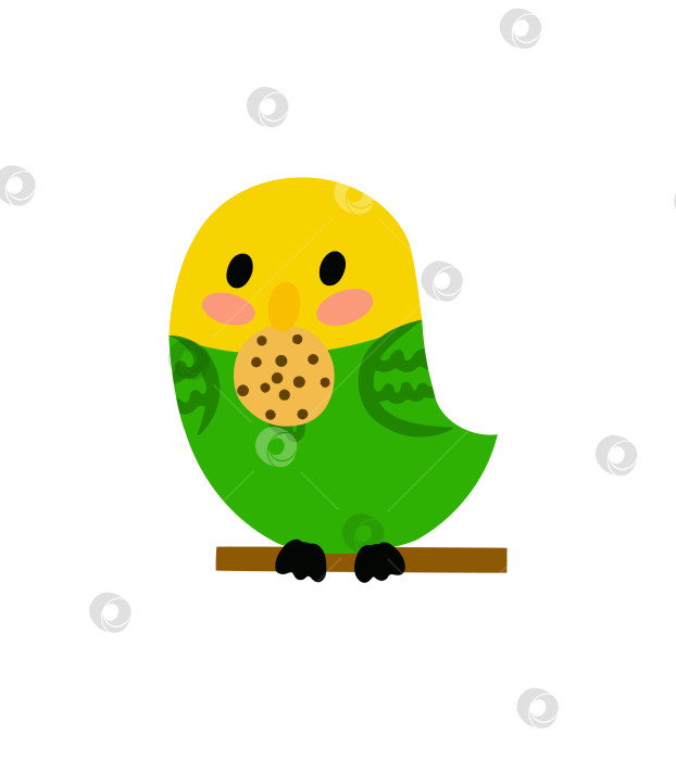 Скачать Очаровательный волнистый попугай ест печенье. Векторная иллюстрация. Концепция с попугаем для тематического дизайна. Изображение попугая, изолированного на белом фоне. фотосток Ozero