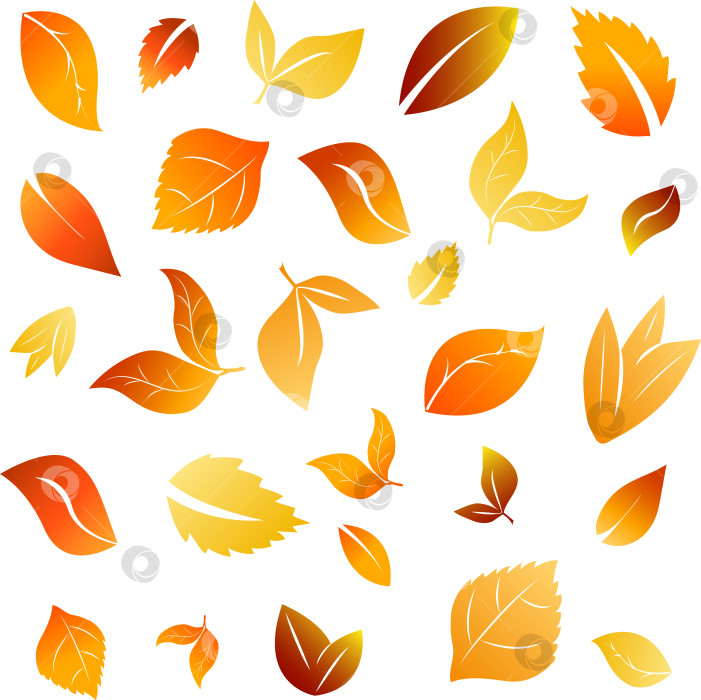 Скачать Разноцветный осенний бесшовный узор из осенних листьев на белом фоне фотосток Ozero