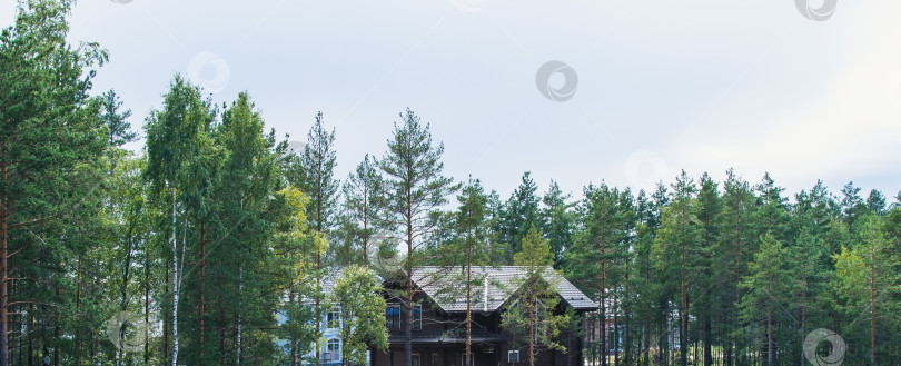 Скачать Лесной домик среди деревьев фотосток Ozero