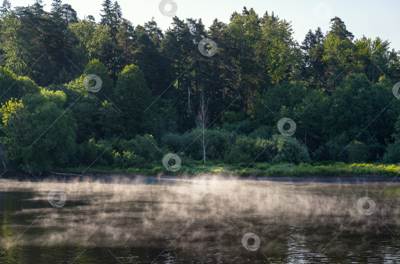 Скачать Ранним утром над рекой поднимается туман фотосток Ozero