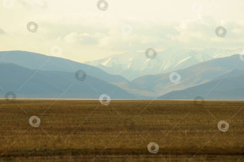 Скачать Ровная и бескрайняя осенняя степь с пожелтевшей травой у подножия высокого горного хребта с заснеженными вершинами. фотосток Ozero