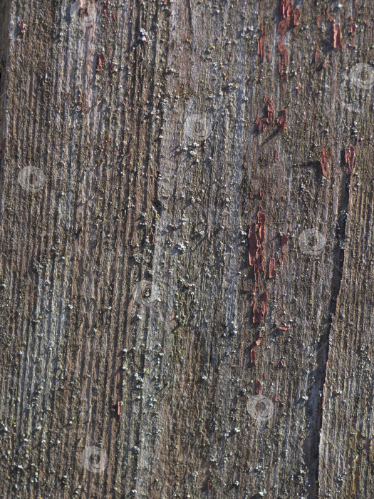 Скачать Крупный план деревянной текстуры с остатками краски. Деревянная доска-фон. Винтажная деревянная текстура фотосток Ozero