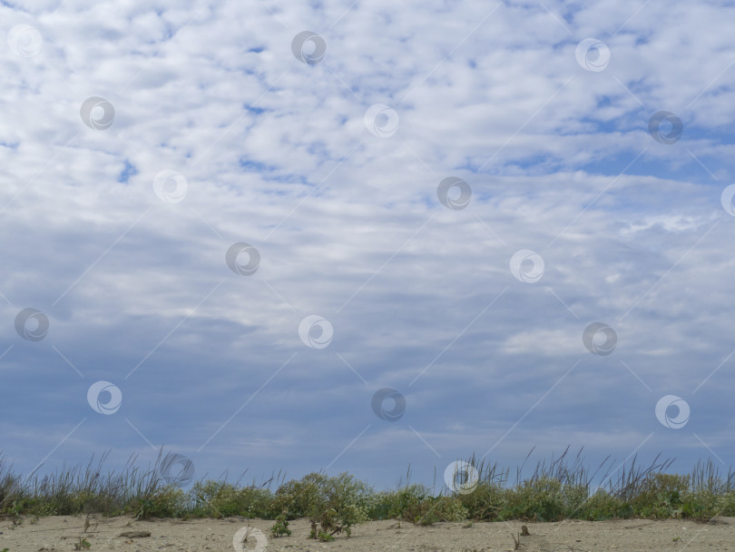 Скачать Голубое небо с облаками над горизонтом. Небо над горизонтом песчаного пляжа, заросшего травой, вид снизу фотосток Ozero