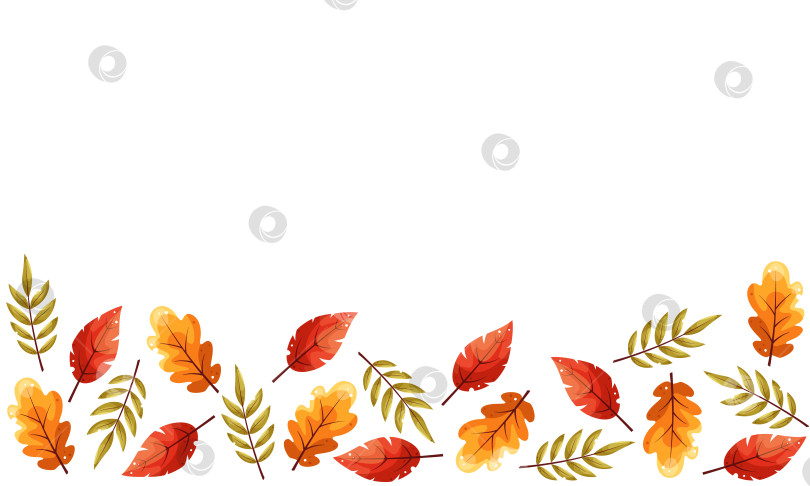Скачать Красивые осенние листья. Горизонтальный баннер с рисунком осенних ярких листьев. Плоский стиль каракулей. Векторная иллюстрация. Декоративная рамка-бордюр, векторный шаблон фотосток Ozero