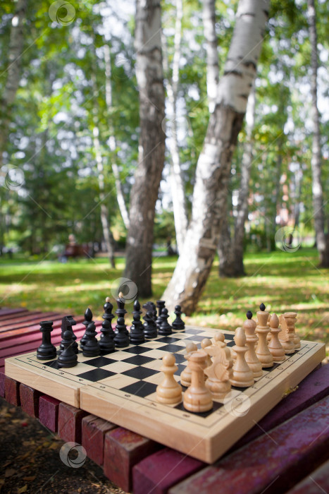 Скачать Деревянная шахматная доска с фигурами на скамейке. Осенний городской парк фотосток Ozero