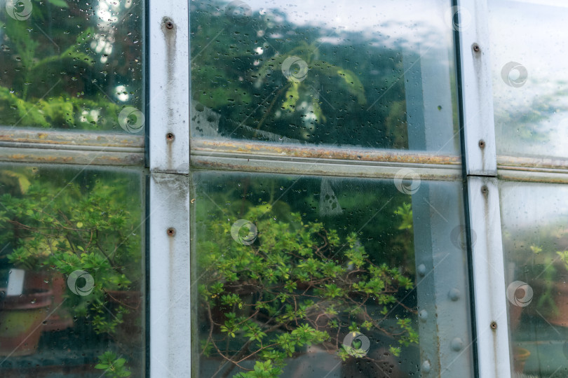 Скачать участок стеклянной стены оранжереи для тропических цветов с открытым окном, вид снаружи фотосток Ozero