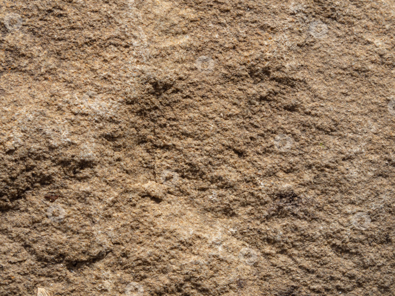Скачать макротекстура поверхности камня, абстрактный каменный фон фотосток Ozero