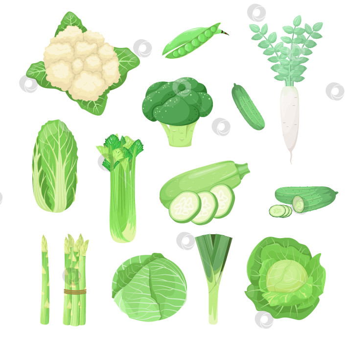 Скачать Набор зеленых овощей фотосток Ozero