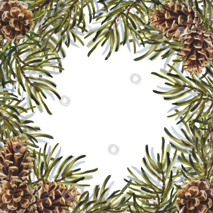 Скачать Акварельная рождественская рамка с сосновыми шишками и еловыми ветками. Еловый бордюр ручной росписи, выделенный на белом фоне. Цветочная иллюстрация для дизайна, печати, фона фотосток Ozero