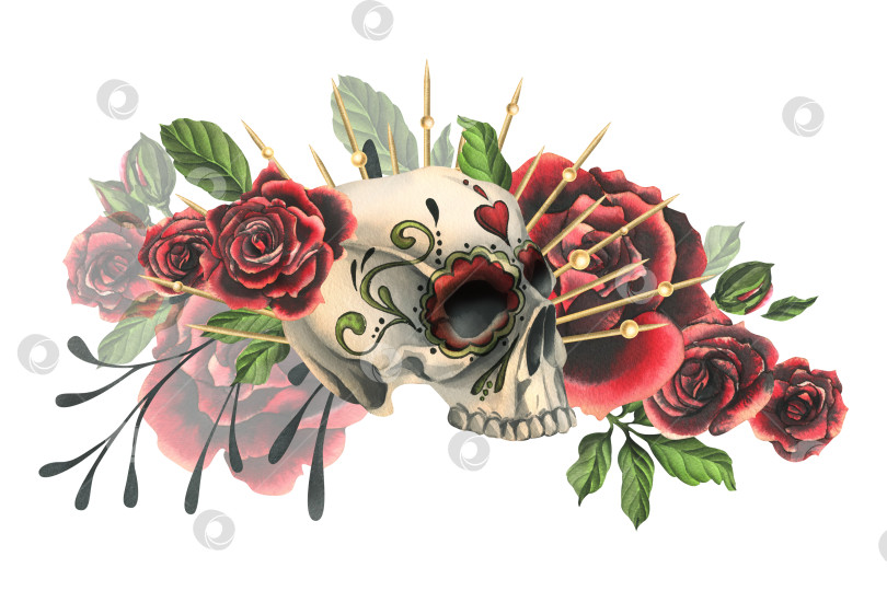 Скачать Человеческий череп с орнаментом, красные розы в золотой короне. Нарисованная от руки акварельная иллюстрация к Хэллоуину, дню мертвых, Диа-де-лос-муэртос. Изолированная композиция на белом фоне фотосток Ozero