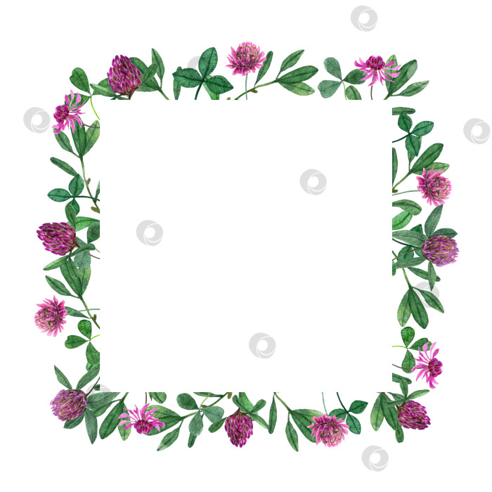 Скачать Акварельные полевые цветы и травы в квадратной рамке. Для использования в качестве фона для открытки или приглашения фотосток Ozero