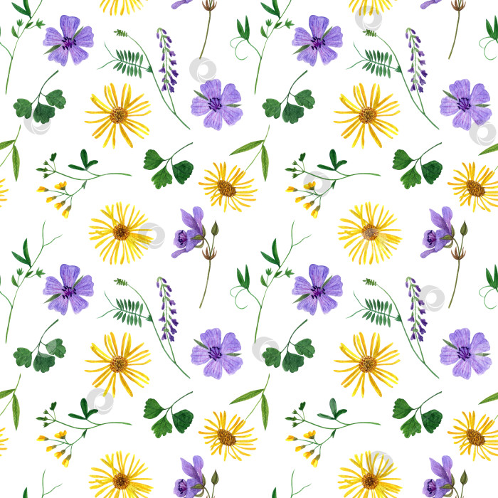 Скачать Акварельный бесшовный узор из полевых цветов и трав. Дизайн для ткани, обоев, открыток, приглашений, бумаги для скрапбукинга. фотосток Ozero