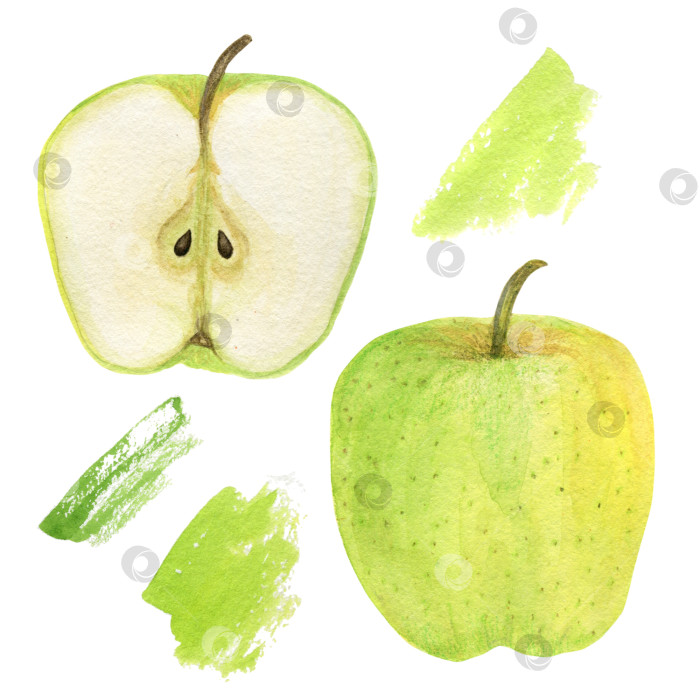 Скачать Акварельная рука рисует яблоки и абстрактное пятно на белом фоне. Дизайн для открытки, приглашения или принта на ткани. фотосток Ozero