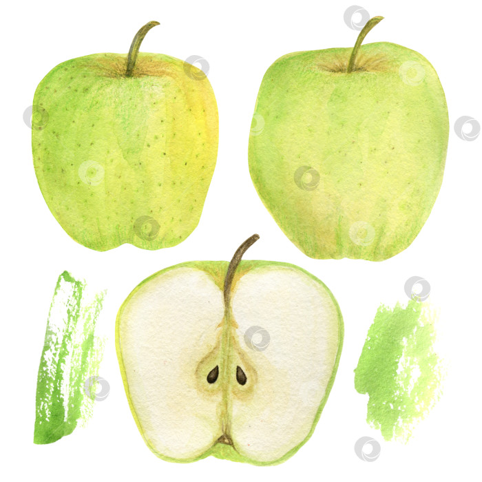 Скачать Акварельная рука рисует яблоки и абстрактное пятно на белом фоне. Дизайн для открытки, приглашения или принта на ткани. фотосток Ozero