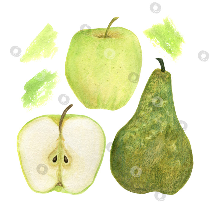 Скачать Акварельная рука рисует яблоки, грушу и абстрактное пятно на белом фоне. Дизайн для открыток, приглашений или печати на ткани. фотосток Ozero