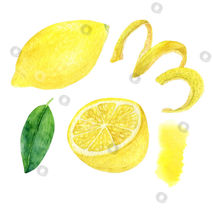 Скачать Акварельный лимонный набор. Дизайн для открытки, принт на сумке или футболке. фотосток Ozero