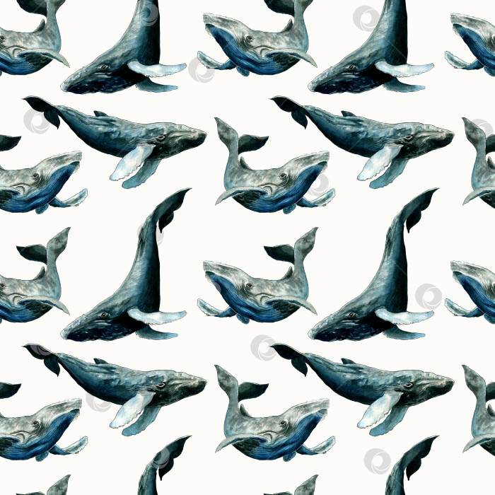 Скачать Бесшовный узор из китов. Рука рисует акварельную иллюстрацию. Дизайн ткани, обоев, открыток, приглашений, бумаги для скрапбукинга. фотосток Ozero