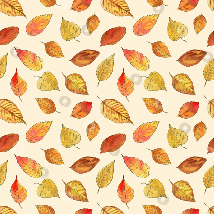 Скачать Осенние листья в стиле скетча. Акварельный узор. Дизайн ткани, обоев, открыток, приглашений, бумаги для скрапбукинга. фотосток Ozero