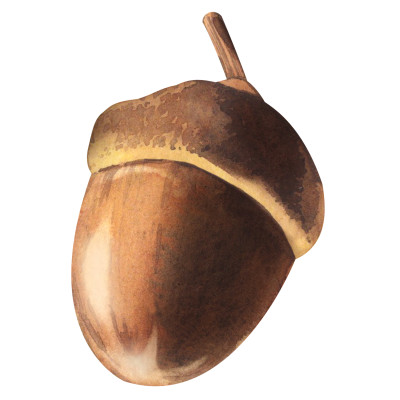 [object Object] undefined