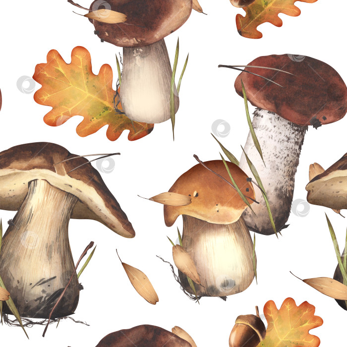 Скачать Бесшовный узор из грибов. Белые грибы. Осенняя акварельная иллюстрация. Сбор урожая в лесу. Для текстильного дизайна, фонов, упаковки фотосток Ozero