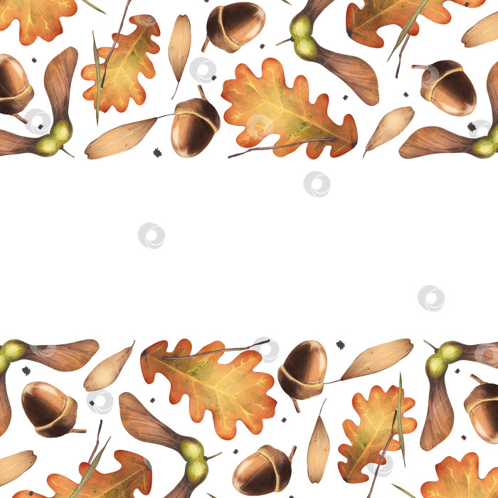 Скачать Осенние опавшие листья с семенами. Лиственные деревья и желуди. Квадратный баннер. Акварельная ботаническая иллюстрация для оформления фона, упаковки, открытки фотосток Ozero
