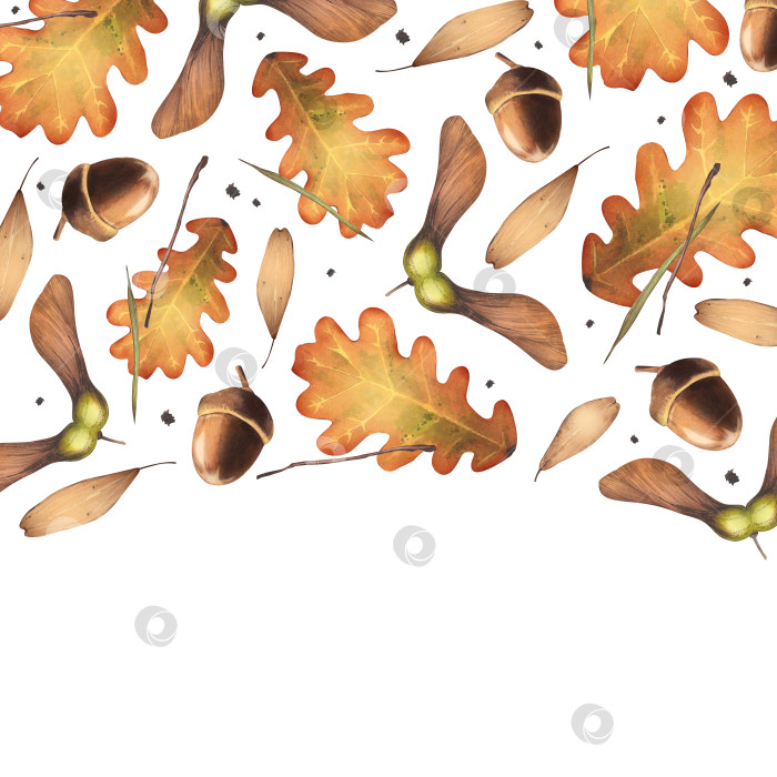 Скачать Осенние опавшие листья с семенами. Лиственные деревья и желуди. Квадратный баннер. Акварельная ботаническая иллюстрация для оформления фона, упаковки, открытки фотосток Ozero